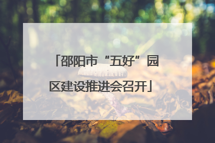 邵阳市“五好”园区建设推进会召开