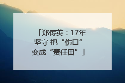 郑传英：17年坚守 把“伤口”变成“责任田”
