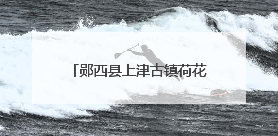 郧西县上津古镇荷花初绽邂逅夏日浪漫