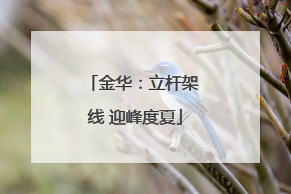 金华：立杆架线 迎峰度夏