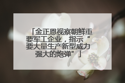 金正恩视察朝鲜重要军工企业，指示“要大量生产新型威力强大的炮弹”