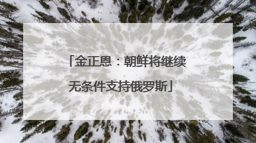 金正恩：朝鲜将继续无条件支持俄罗斯