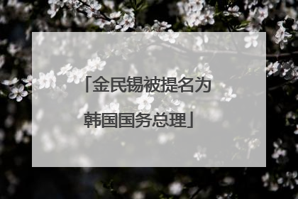 金民锡被提名为韩国国务总理
