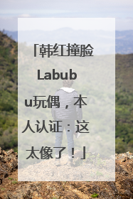 韩红撞脸Labubu玩偶，本人认证：这太像了！