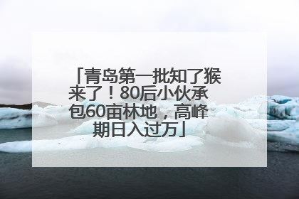 青岛第一批知了猴来了！80后小伙承包60亩林地，高峰期日入过万