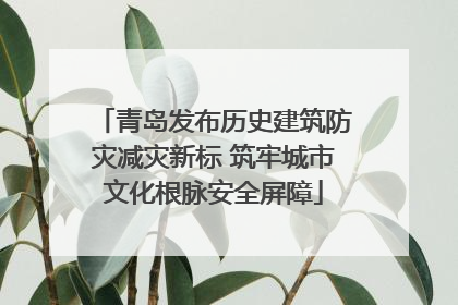 青岛发布历史建筑防灾减灾新标 筑牢城市文化根脉安全屏障