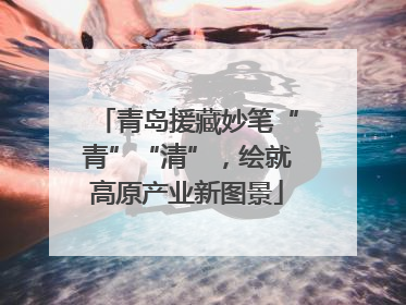 青岛援藏妙笔“青”“清”，绘就高原产业新图景