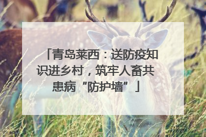 青岛莱西：送防疫知识进乡村，筑牢人畜共患病“防护墙”