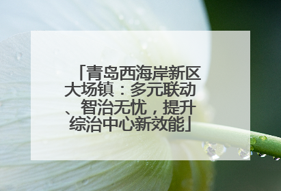 青岛西海岸新区大场镇：多元联动、智治无忧，提升综治中心新效能