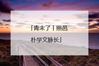 青未了丨照邑朴学文脉长