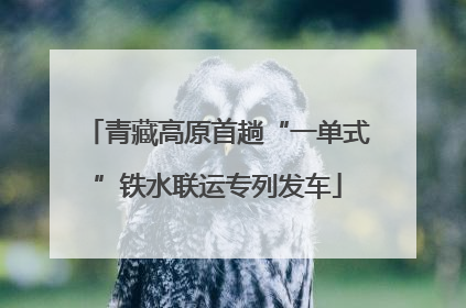 青藏高原首趟“一单式”铁水联运专列发车