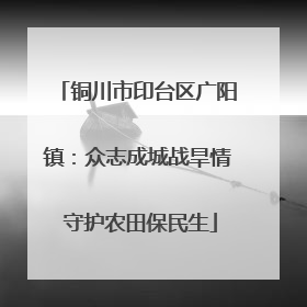 铜川市印台区广阳镇：众志成城战旱情 守护农田保民生