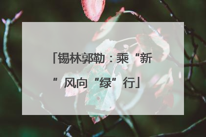 锡林郭勒：乘“新”风向“绿”行