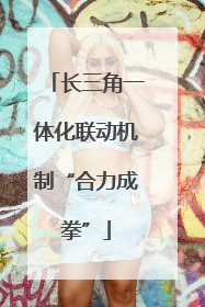 长三角一体化联动机制“合力成拳”