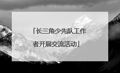 长三角少先队工作者开展交流活动