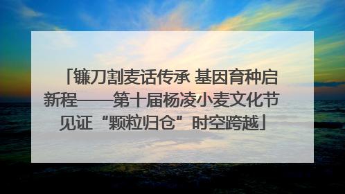 镰刀割麦话传承 基因育种启新程——第十届杨凌小麦文化节见证“颗粒归仓”时空跨越