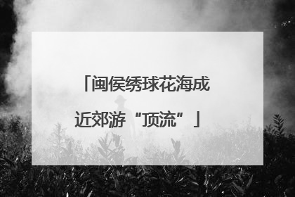 闽侯绣球花海成近郊游“顶流”