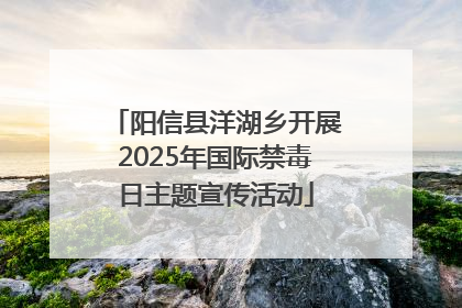 阳信县洋湖乡开展2025年国际禁毒日主题宣传活动