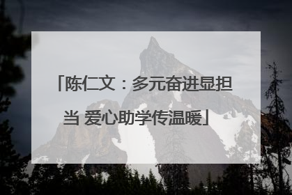 陈仁文：多元奋进显担当 爱心助学传温暖
