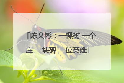 陈文彬：一棵树 一个庄 一块碑 一位英雄