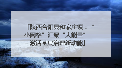 陕西合阳县和家庄镇：“小网格”汇聚“大能量” 激活基层治理新动能