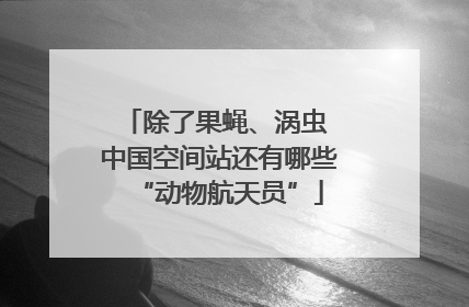 除了果蝇、涡虫 中国空间站还有哪些“动物航天员”