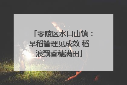 零陵区水口山镇：早稻管理见成效 稻浪飘香穗满田
