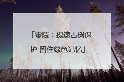 零陵：提速古树保护 留住绿色记忆
