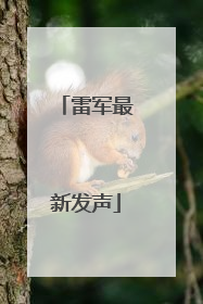 雷军最新发声