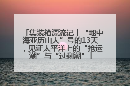 集装箱漂流记丨“地中海亚历山大”号的13天，见证太平洋上的“抢运潮”与“过剩潮”