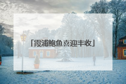 霞浦鲍鱼喜迎丰收