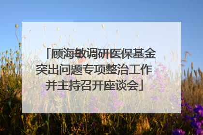 顾海敏调研医保基金突出问题专项整治工作并主持召开座谈会