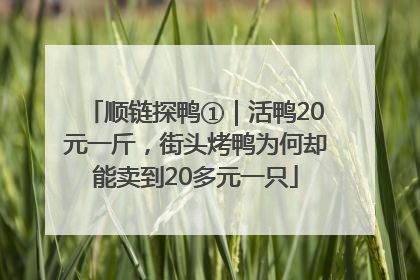 顺链探鸭①｜活鸭20元一斤，街头烤鸭为何却能卖到20多元一只