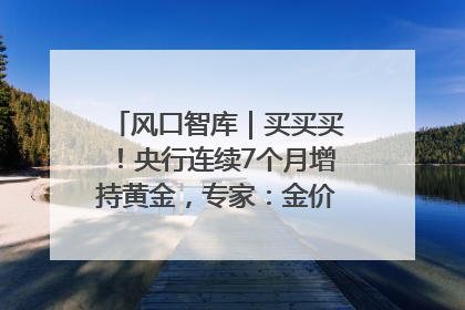 风口智库｜买买买！央行连续7个月增持黄金，专家：金价或仍易涨难跌