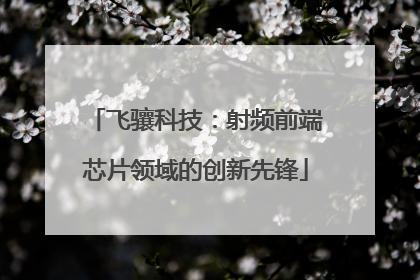 飞骧科技：射频前端芯片领域的创新先锋