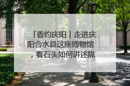 香约庆阳｜走进庆阳合水县这座博物馆，看石头如何讲述陇东千年历史