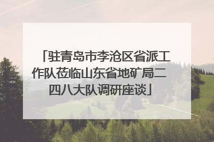 驻青岛市李沧区省派工作队莅临山东省地矿局二四八大队调研座谈
