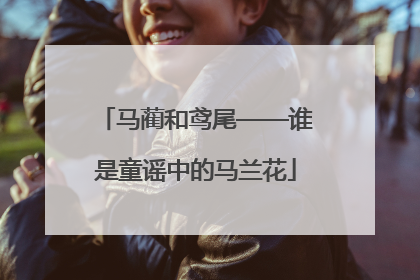 马蔺和鸢尾——谁是童谣中的马兰花