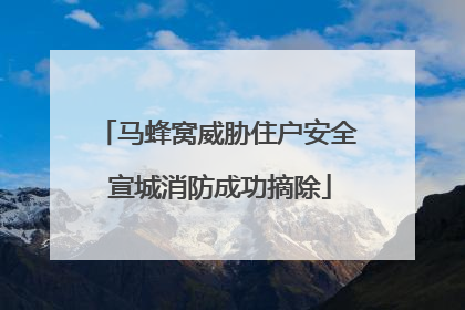 马蜂窝威胁住户安全 宣城消防成功摘除