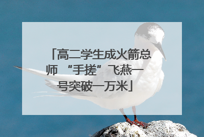 高二学生成火箭总师 “手搓”飞燕一号突破一万米