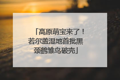 高原萌宝来了！若尔盖湿地首批黑颈鹤雏鸟破壳