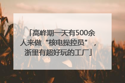 高峰期一天有500余人来做“核电操控员”，浙里有超好玩的工厂
