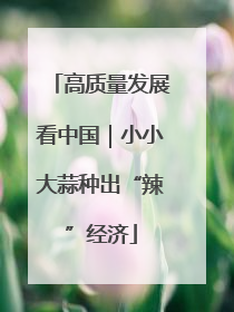 高质量发展看中国｜小小大蒜种出“辣”经济