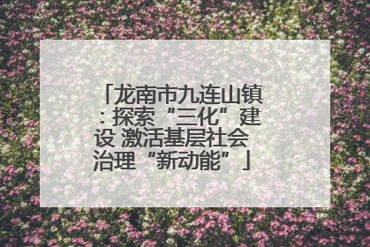 龙南市九连山镇：探索“三化”建设 激活基层社会治理“新动能”