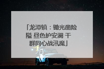 龙潭镇：锄光凿险隘 昼色护安澜 干群同心战汛魔