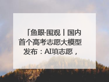 鱼眼·围观丨国内首个高考志愿大模型发布：AI填志愿，靠不靠谱？