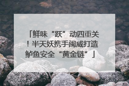 鲜味“跃”动四重关！半天妖携手闽威打造鲈鱼安全“黄金链”