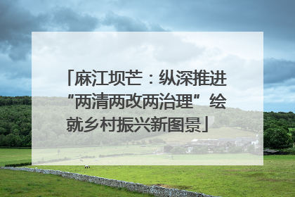 麻江坝芒：纵深推进“两清两改两治理”绘就乡村振兴新图景