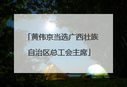 黄伟京当选广西壮族自治区总工会主席