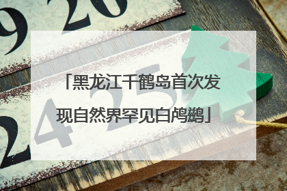 黑龙江千鹤岛首次发现自然界罕见白鸬鹚